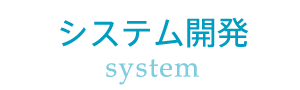 システム開発