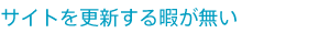サイトを更新する暇が無い